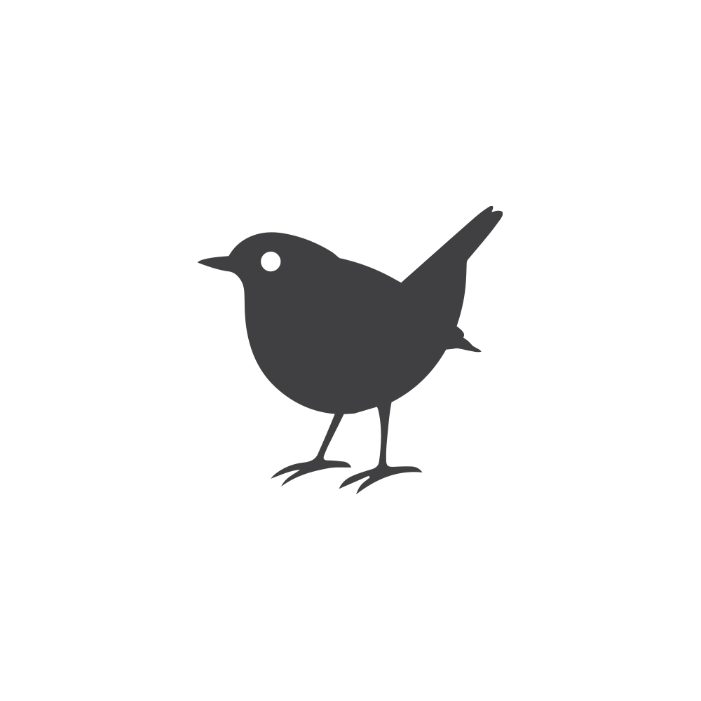 TNS_robin_2