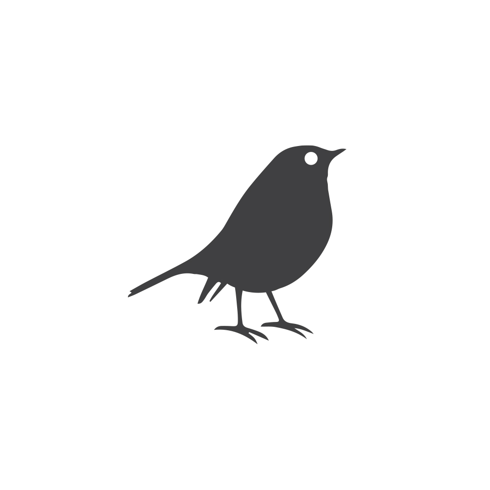 TNS_robin_3