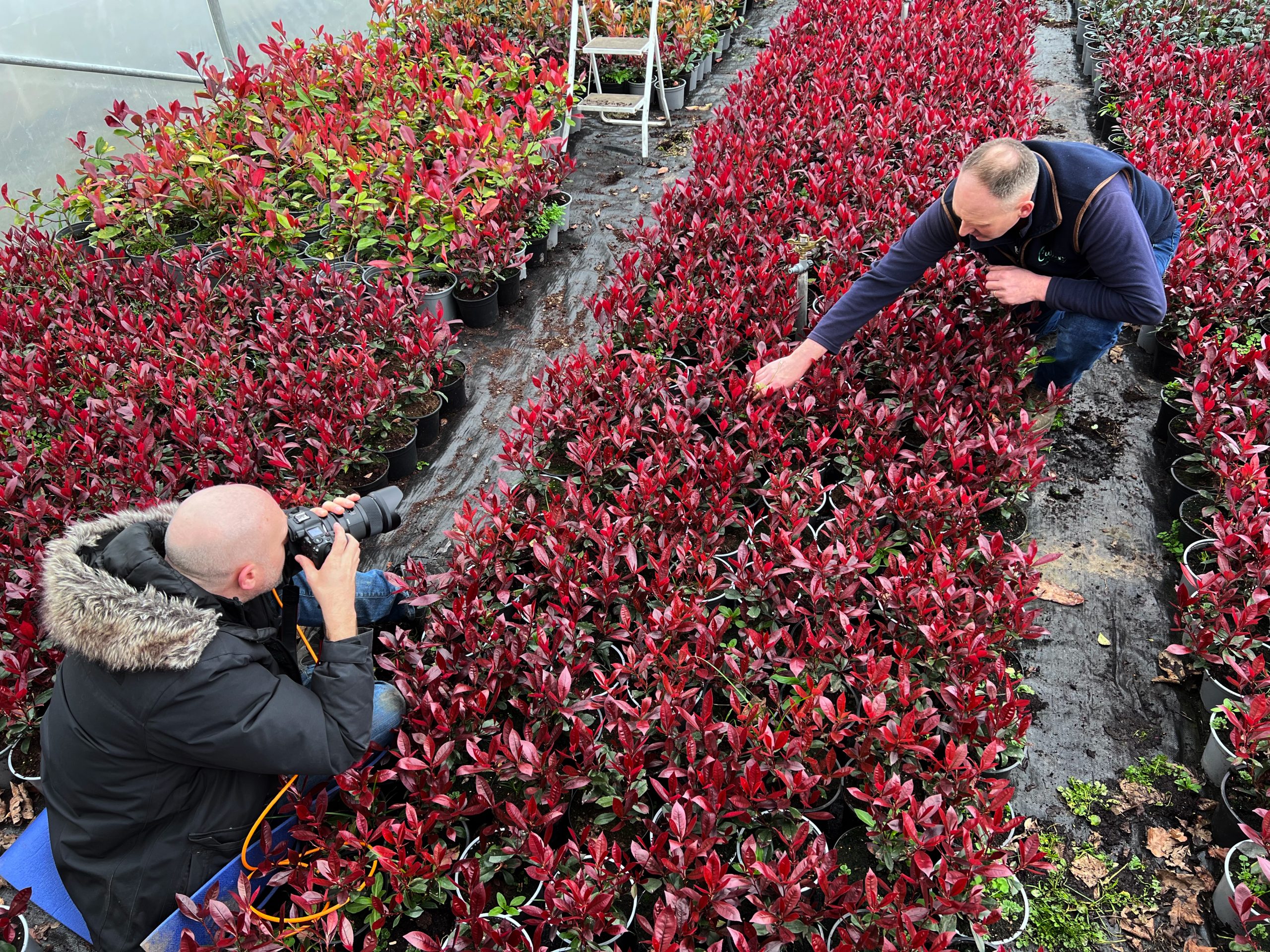 Brendan Duffy taking photograph of Robert Cullen of Cullen Nurseries.