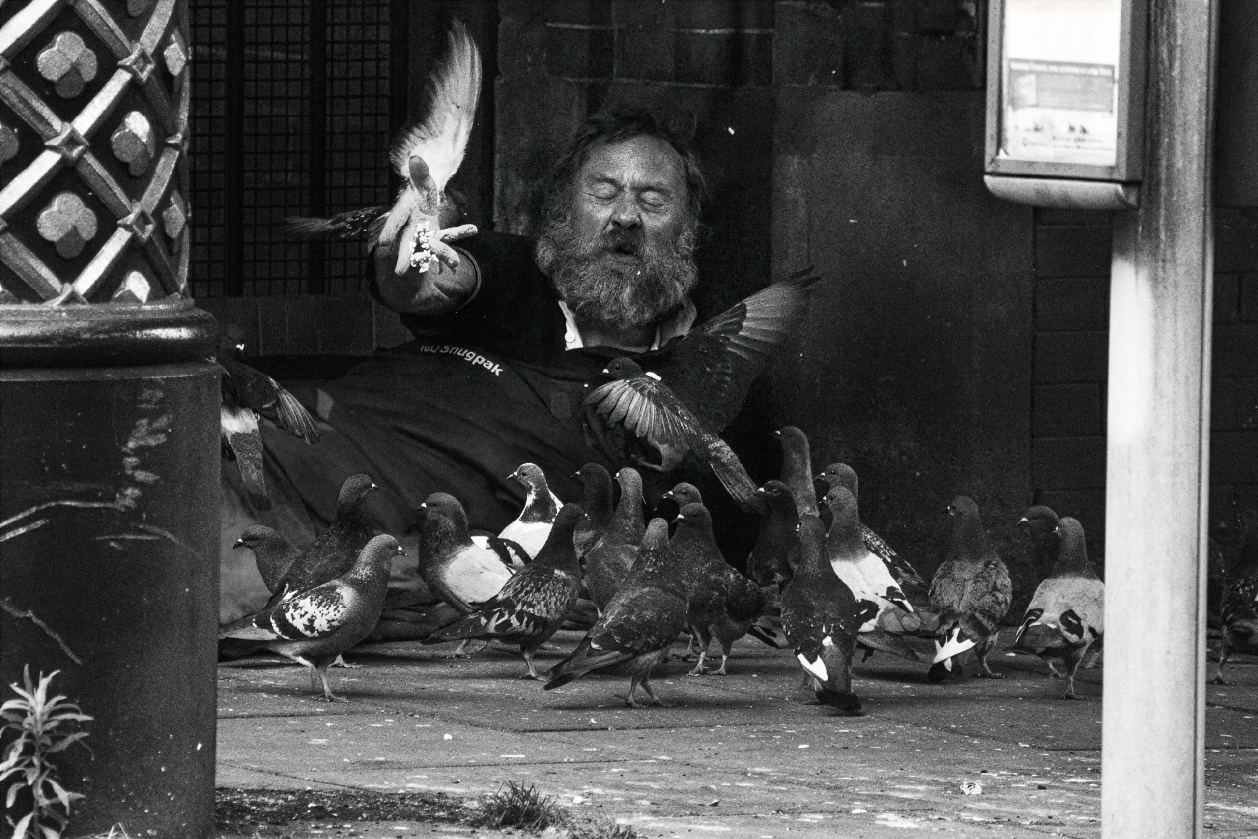 Birdman Martin Hart, Dublin
